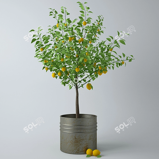 Lemon Elixir - Vitality in a Pot 3D model image 4