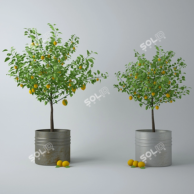 Lemon Elixir - Vitality in a Pot 3D model image 5