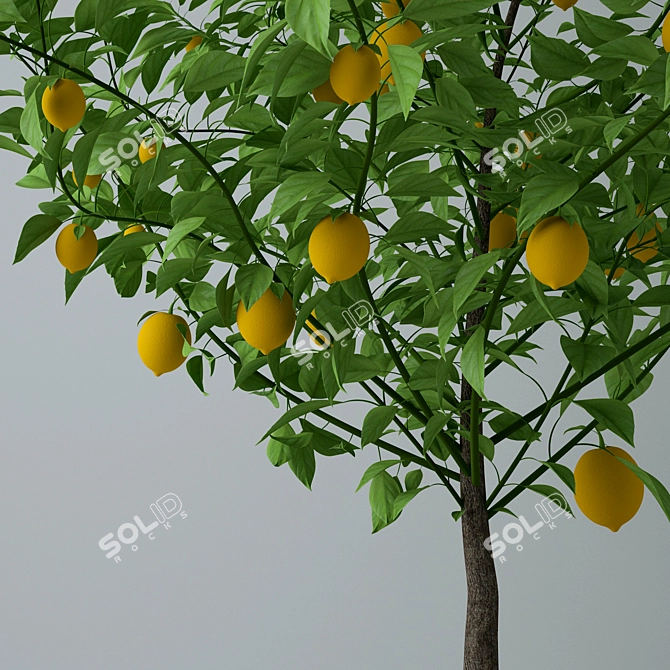 Lemon Elixir - Vitality in a Pot 3D model image 6