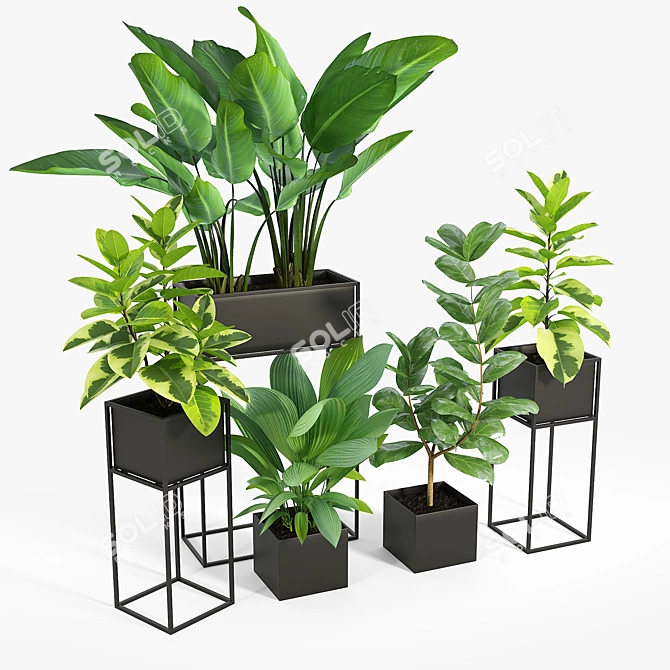 Modern Trio Black Planters: Enhance Your Space 3D model image 2
