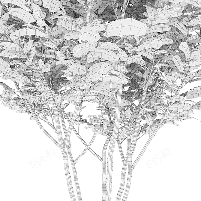 Realistic Honey Locust Tree - High Resolution 3D Model 3D model image 5