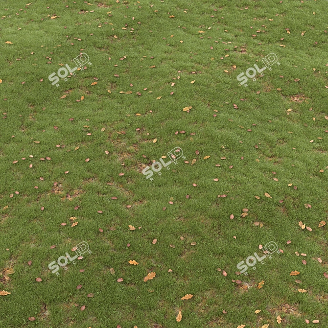 Leafy Greens Lawn: A Verdant Oasis 3D model image 1