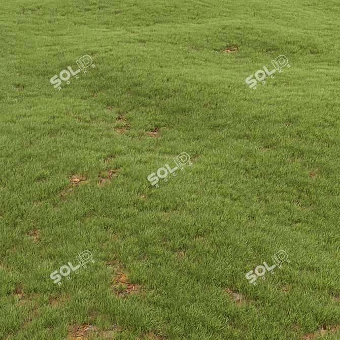 Leafy Greens Lawn: A Verdant Oasis 3D model image 2