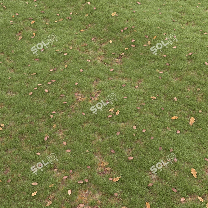 Leafy Greens Lawn: A Verdant Oasis 3D model image 3