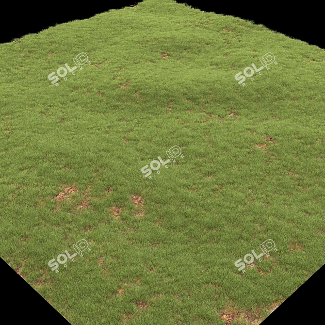 Leafy Greens Lawn: A Verdant Oasis 3D model image 4