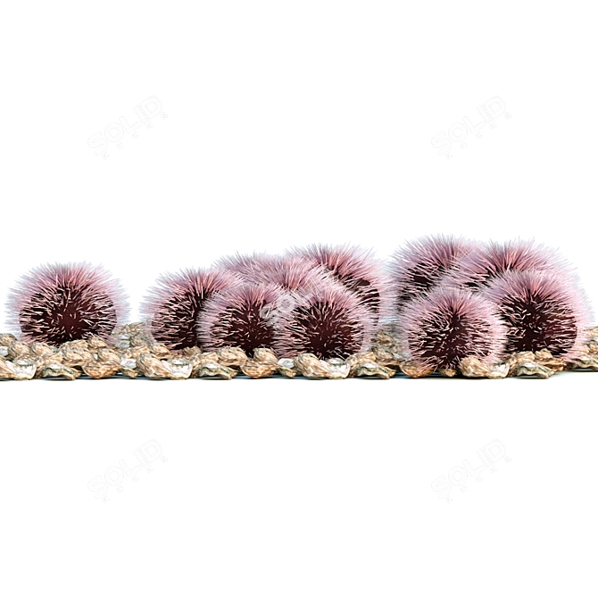 Spectacular Purple Sea Urchin 3D model image 2