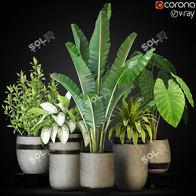 Diverse 270 Plant Collection 3D model image 3