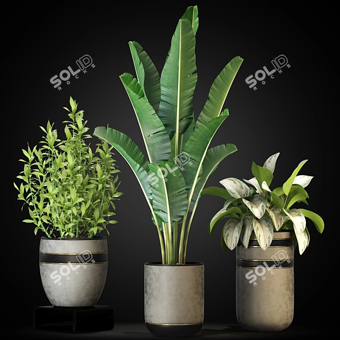 Diverse 270 Plant Collection 3D model image 4