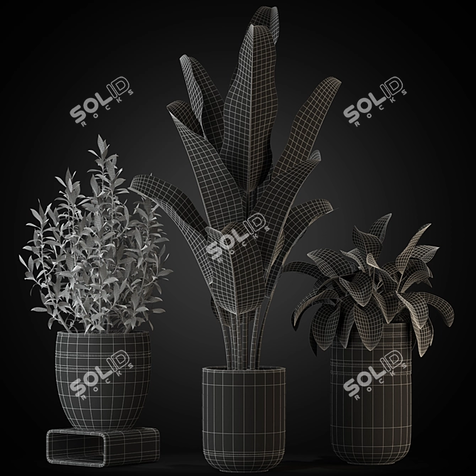 Diverse 270 Plant Collection 3D model image 1