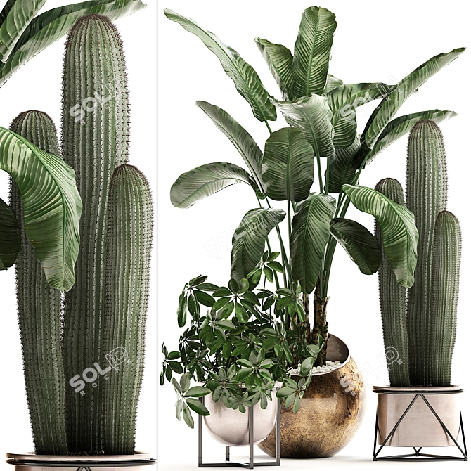 Exotic Houseplant Collection 3D model image 1