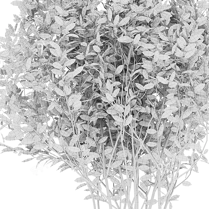 Luscious Cherry Bush Replica 3D model image 10