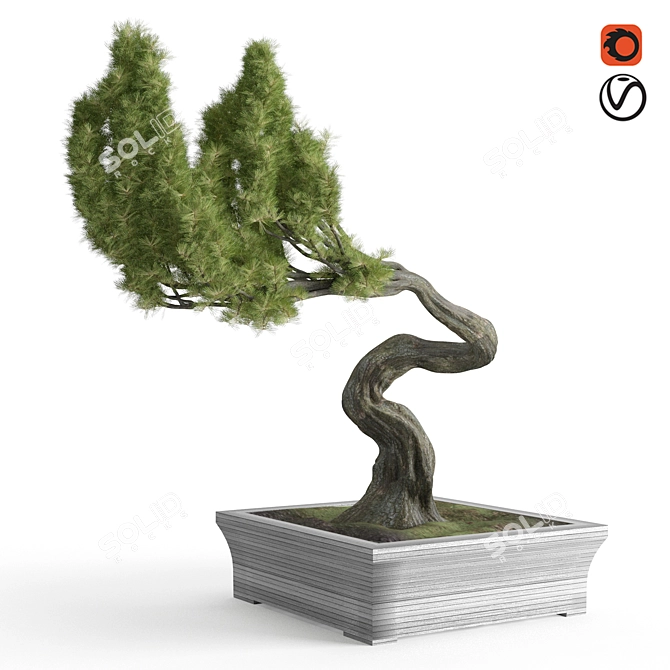 Elegant Brussel's Bonsai: Exquisite Greenery 3D model image 1