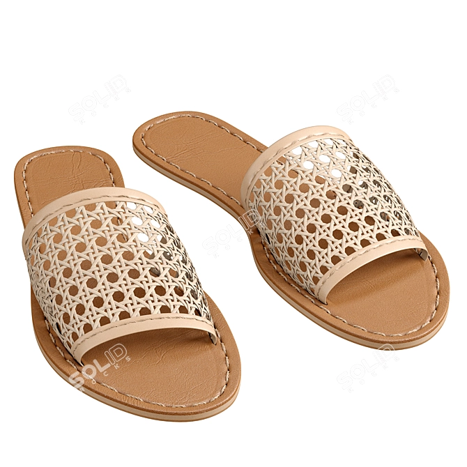 Eco-Woven Vegan Rattan Slides 3D model image 1