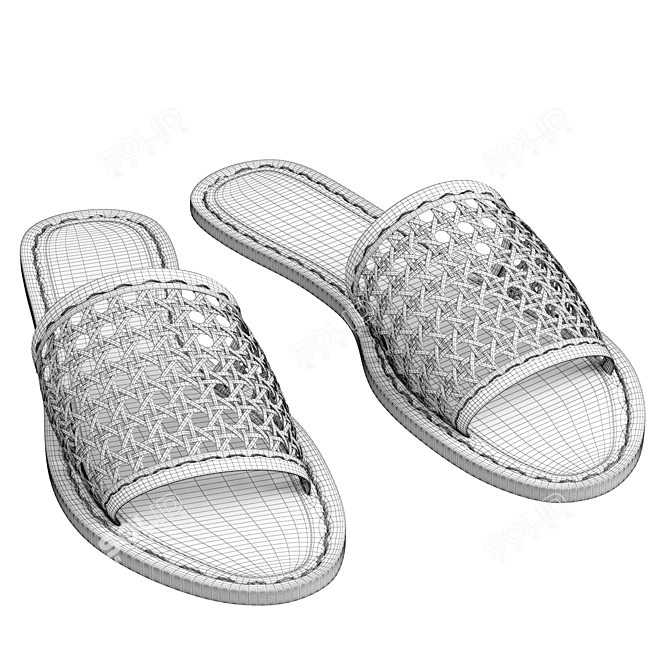 Eco-Woven Vegan Rattan Slides 3D model image 3