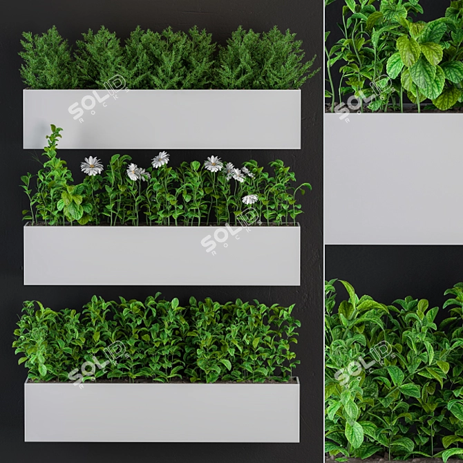 Botanical Wall Decor Set 3D model image 1