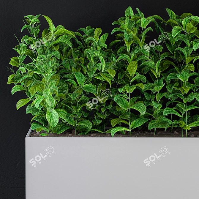 Botanical Wall Decor Set 3D model image 2