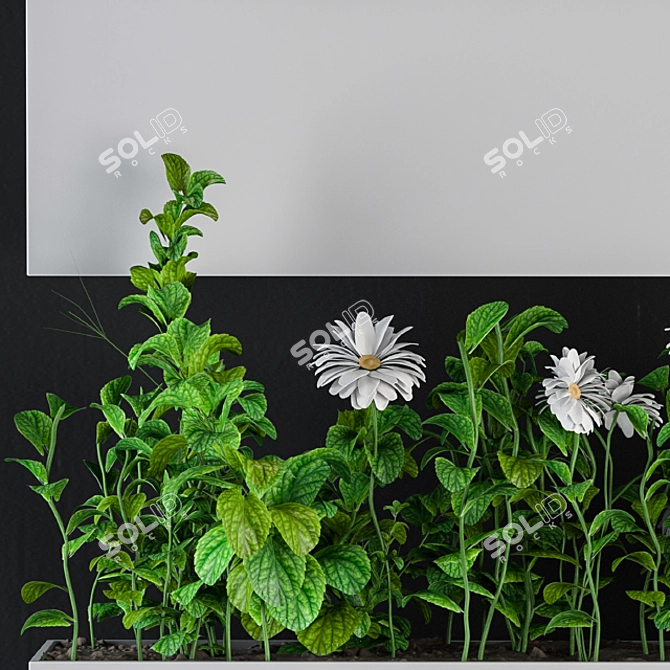 Botanical Wall Decor Set 3D model image 4