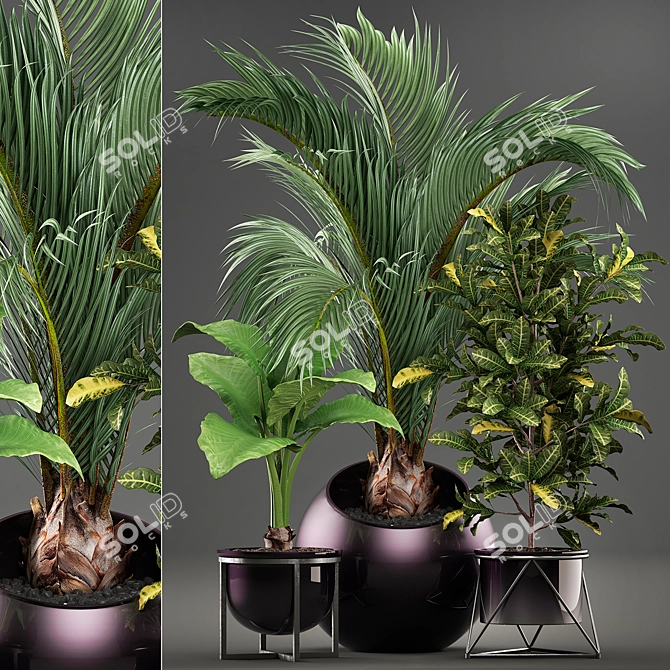 Exotic Plant Collection 3D model image 1