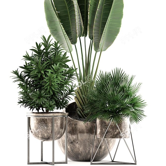 Exotic Indoor Plant Collection 3D model image 3