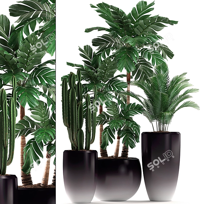 Exotic Indoor Plant Collection 3D model image 1