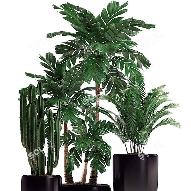 Exotic Indoor Plant Collection 3D model image 2