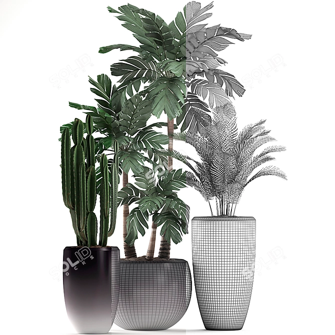 Exotic Indoor Plant Collection 3D model image 4