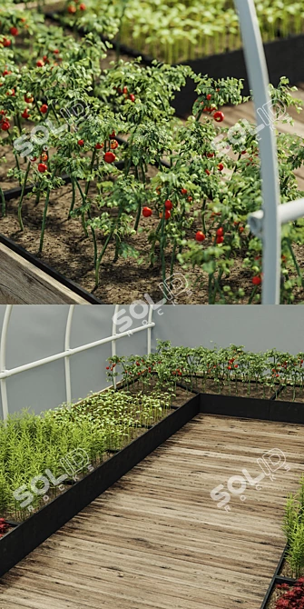  MaxGrow Greenhouse V1: 606x295x205 cm 3D model image 3