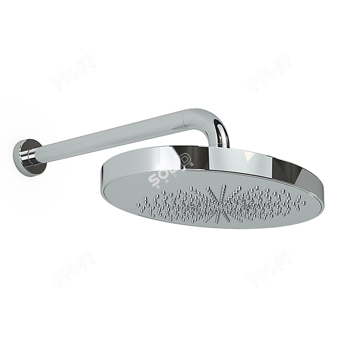 Luxury Signorini 3D Shower Head 3D model image 1