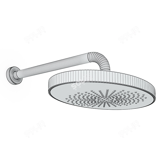 Luxury Signorini 3D Shower Head 3D model image 2