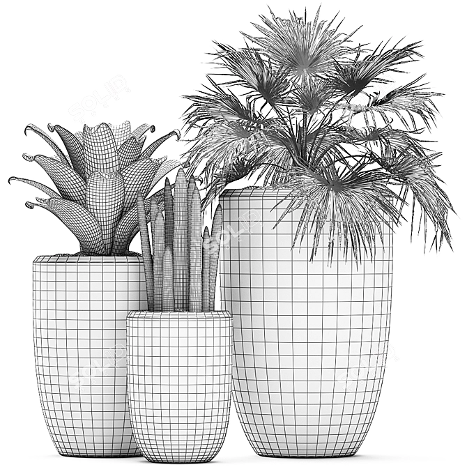 Exotic Plant Collection - Scandinavian Style 3D model image 5