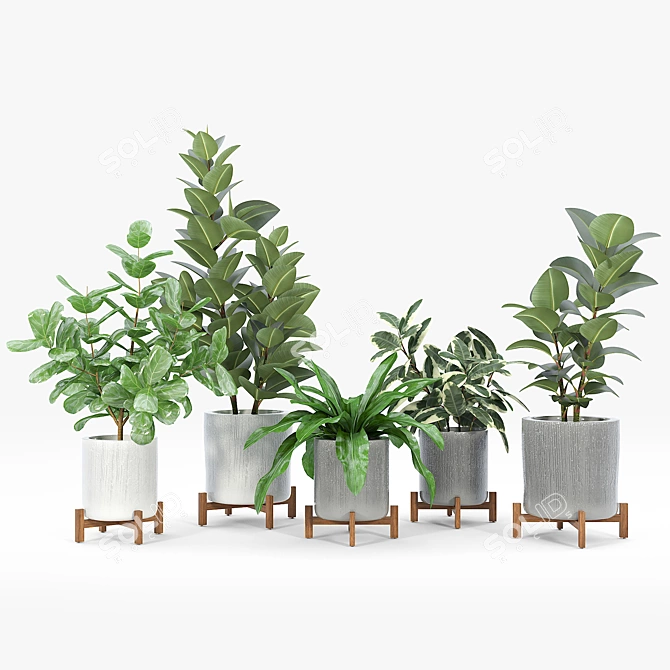 Bungalow Planter Set: Versatile and Stylish 3D model image 2