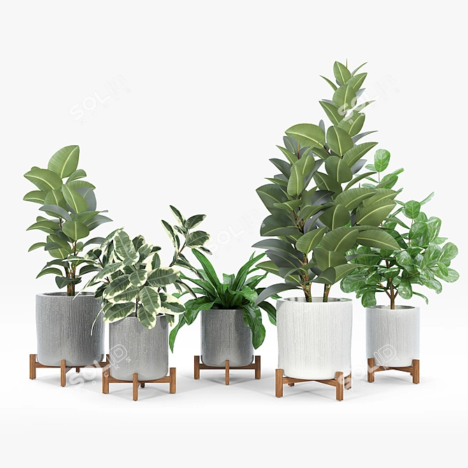 Bungalow Planter Set: Versatile and Stylish 3D model image 3