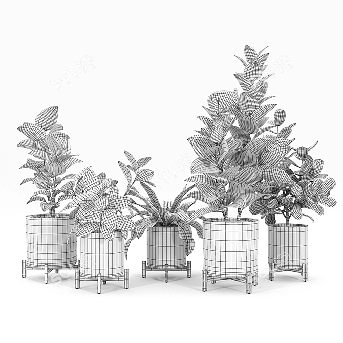 Bungalow Planter Set: Versatile and Stylish 3D model image 5