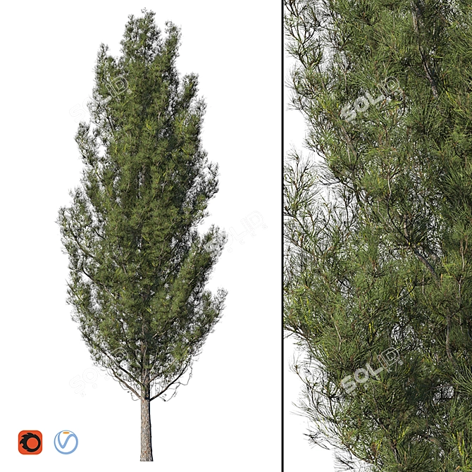 Realistic High Poly Pine Tree 3D model image 1