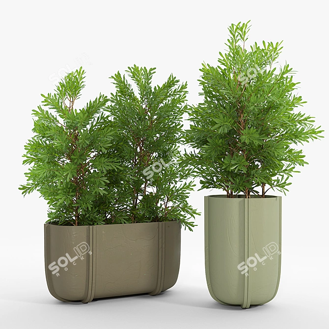 Cassero Long 03: Versatile 3D Model 3D model image 2