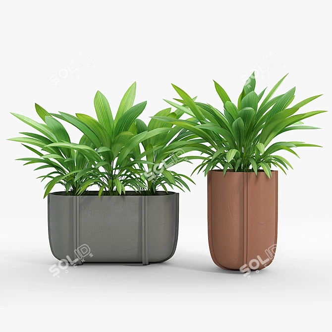 Cassero Long 03: Versatile 3D Model 3D model image 3