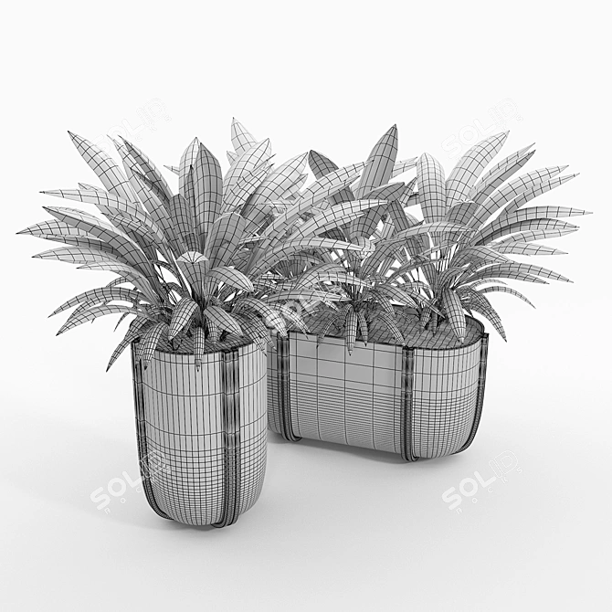 Cassero Long 03: Versatile 3D Model 3D model image 4