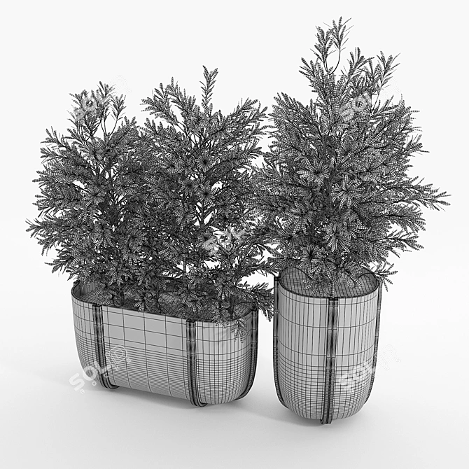 Cassero Long 03: Versatile 3D Model 3D model image 5