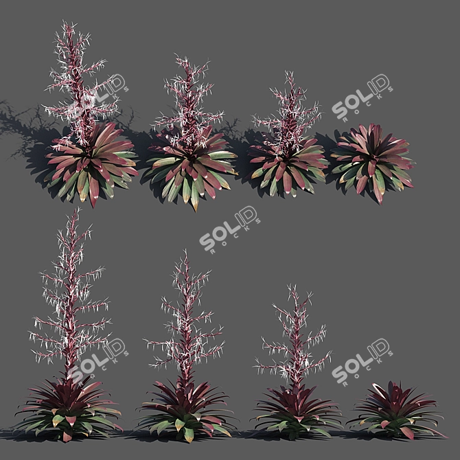 Vibrant Red Alcantarea Rubra 3D model image 1