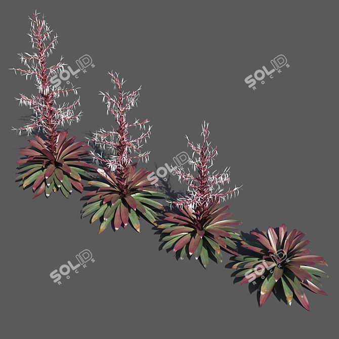 Vibrant Red Alcantarea Rubra 3D model image 2