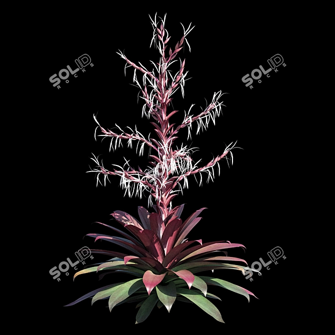 Vibrant Red Alcantarea Rubra 3D model image 5