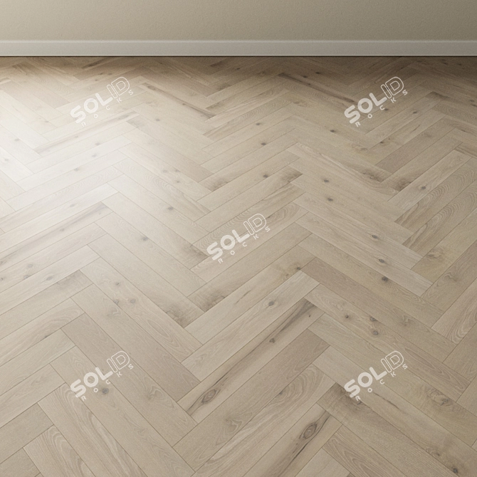 Ash Gray Cloud Parquet: French Chevron Collection 3D model image 4