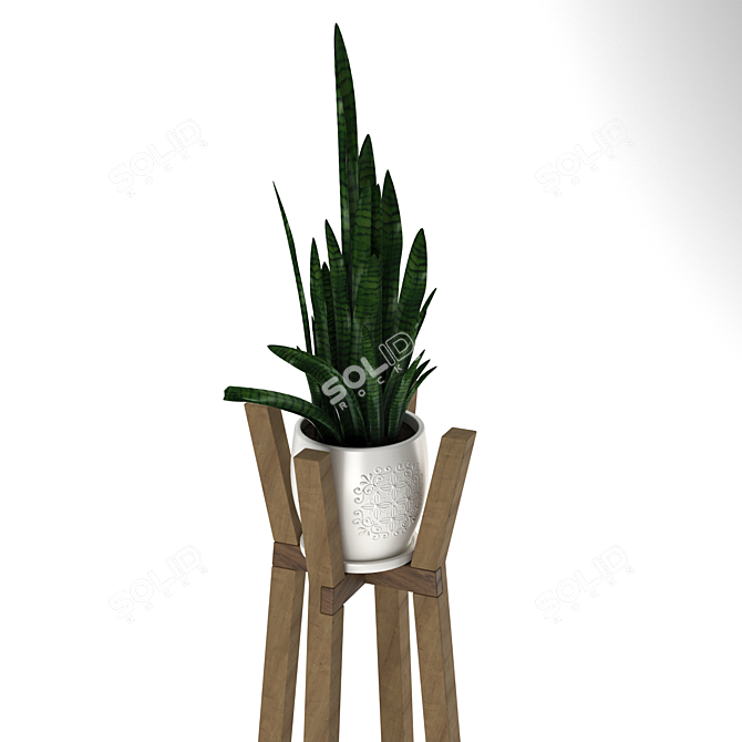 Modern Sansevieria Plant: 3D Model for 3Ds Max 3D model image 8