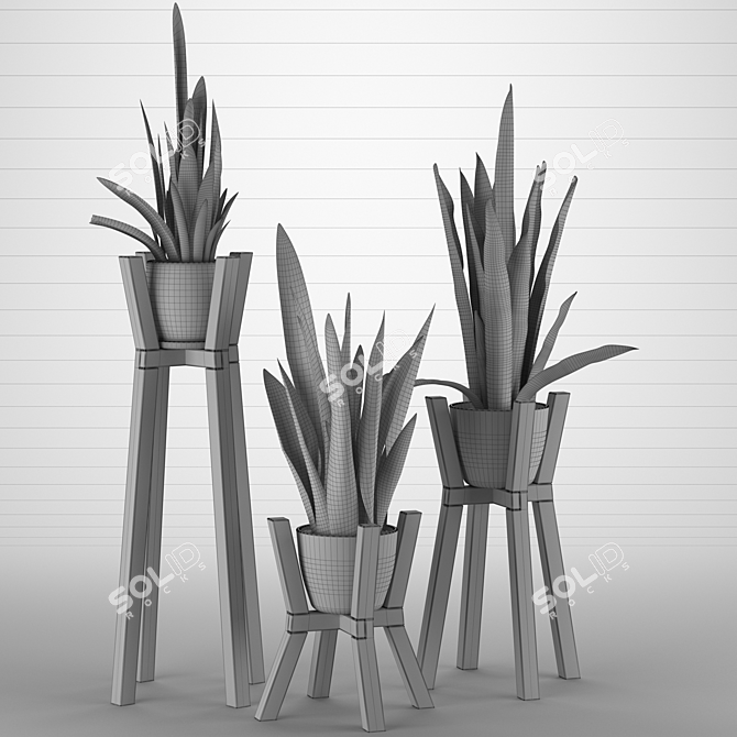 Modern Sansevieria Plant: 3D Model for 3Ds Max 3D model image 10