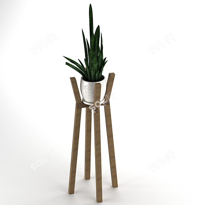 Modern Sansevieria Plant: 3D Model for 3Ds Max 3D model image 11