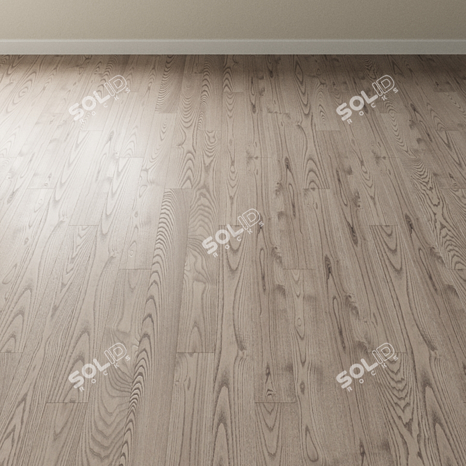 Silver Ash Chevron Parquet 3D model image 2