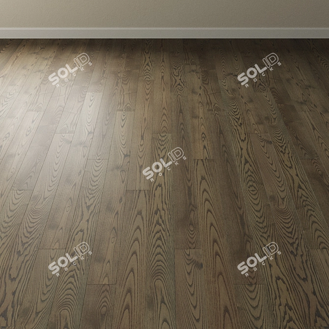 Riviera Gray Ash Chevron Parquet 3D model image 3