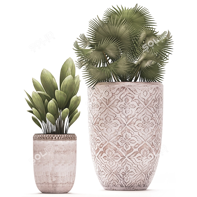 Title: Exotic Indoor Plant Collection 3D model image 4