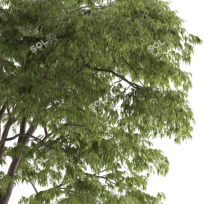 Polys 2 949 715 3D Tree 3D model image 2