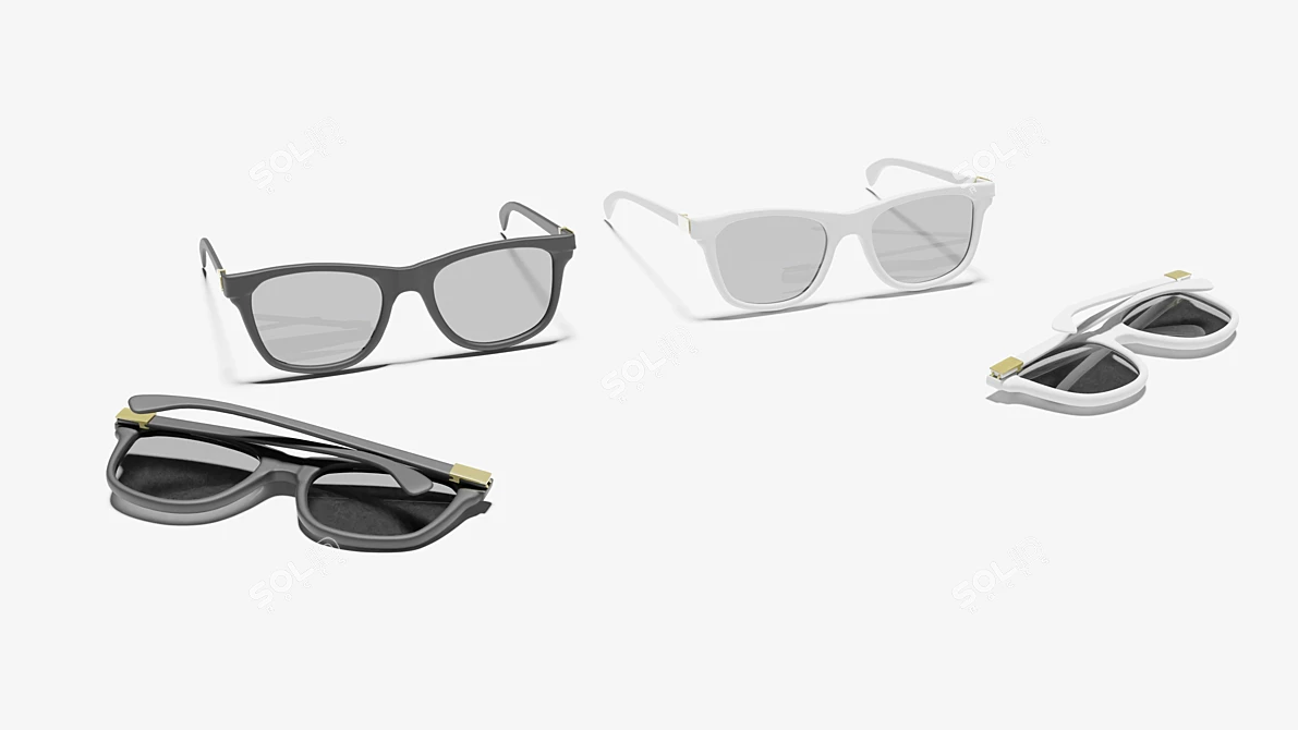 Foldable Sunglasses in Black/White 3D model image 6
